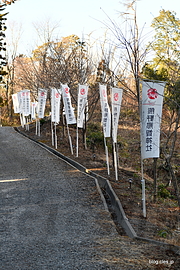 参道 - 熊野那智神社