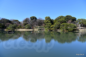 六義園 - 都内は桜が見頃に