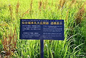 仙台城本丸大広間跡 解説板 - 仙台城址