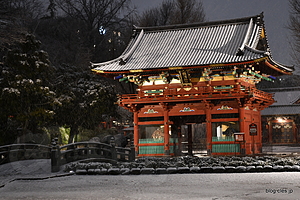 楼門 - 雪の根津神社